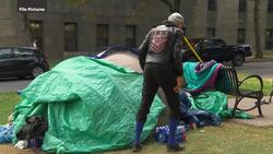 Mary 'Queen of Socks' makes her biggest donation to Halifax shelters yet News Clip