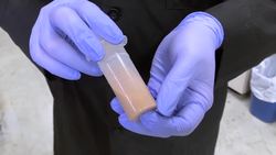 Chocolate skews marijuana potency tests News Clip