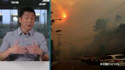 Palisades burning: Inside the worst wildfire in L.A. history | About That News Clip