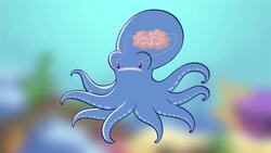 I WONDER - Do Octopi Remember People? Instructional Video