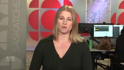 Sask. youth worker arrested in Edmonton and charged with child luring, pornography News Clip