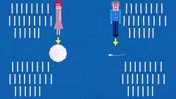 TED-Ed: What can DNA tests really tell us about our ancestry? Instructional Video