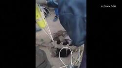 Rescuers in Morocco get closer to boy trapped in well News Clip