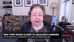New York's Marijuana Legalization Bill 'Almost Done' Says Senator Liz Krueger News Clip