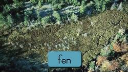 Wet + Land = Wetland Instructional Video