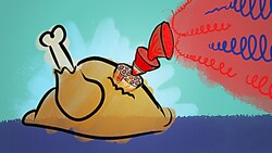 Why turkey is hard to cook Instructional Video