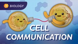 Why Do Cells Need to Communicate?: Crash Course Biology #25 Instructional Video