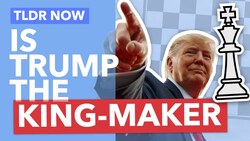 Trump's Endorsements: Will Donald Play Kingmaker This Election Season? Instructional Video