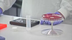 Corinavirus Testing - Nasal Swab Laboratory Analysis News Clip