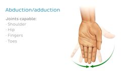 Types of body movements Instructional Video