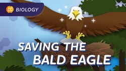 Population Ecology: How We Saved the Bald Eagle: Crash Course Biology #7 Instructional Video