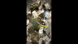 Why taking pictures with flash/without is prohibited in museums? Instructional Video