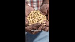 What happened during Trump and Xi’s ‘amazing’ meeting? News Clip