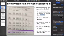 Using UNIPROT & GenBank to Locate Gene Sequences [Given a Known Protein] Instructional Video