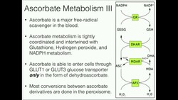Vitamin C: Metabolism and Function Instructional Video