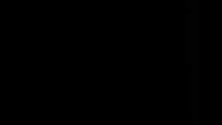 Cars crash, speed, compete at the 100-Mile National Sportsman Stock Car Championship at Langhorne Speedway, 1951 News Clip