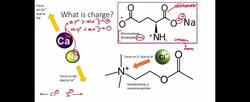 Basics of Electrostatics of Biochemistry Instructional Video
