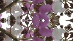 defocused , Surreality abstract motion graphics Stock Footage