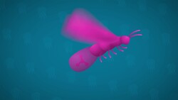 I WONDER - Can A Jellyfish Glow? Instructional Video