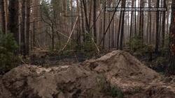 Ukraine president denounces Bucha killings as 'genocide' News Clip