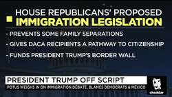 Republicans Scramble to Fix Border Crisis as Trump Digs In News Clip