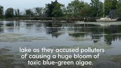 Environmentalists hold ‘wake’ for Lough Neagh over toxic algae bloom Instructional Video