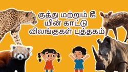 Introduction to Wild Animals - Tamil Instructional Video