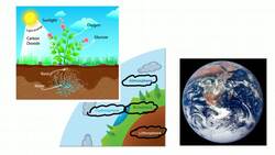 Studying Ecosystems Instructional Video