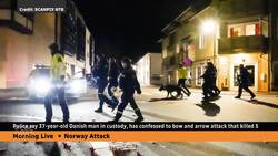 Danish man has confessed to bow and arrow attack, say police in Norway News Clip