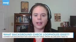 What Gun Background Check Loopholes Exist? News Clip