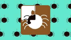 Up Down First Words Baby Music for Learning | The Kiboomers Instructional Video