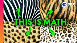 The Mathematical Code Hidden In Nature Instructional Video