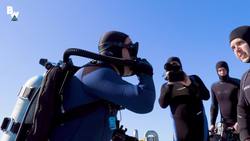 MASSIVE Hammerhead Shark Filmed in Bahamas! Instructional Video