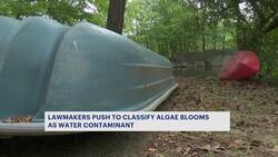 Lawmakers try to force action from state as more beaches close due to bacteria levels Instructional Video