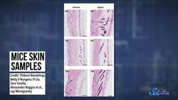 Hooray for Astromice! Instructional Video