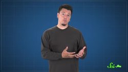 Does Eating Breakfast Really Help You Lose Weight? Instructional Video