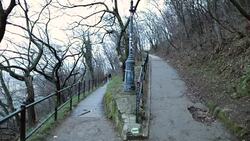 Fork on the road concept. Nature paths for walking Stock Footage