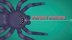 I WONDER - How Many Eyes Do Spiders Have? Instructional Video