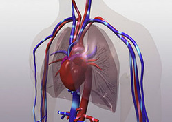 Deoxygenated Instructional Video