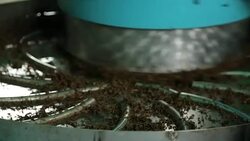 Tea ceremony for friends, aromatic herbal beverage served in cafe, traditions Stock Footage