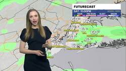 Damp and dreary weekend in the Bronx News Clip