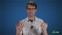 Awesome Animal Dads Instructional Video