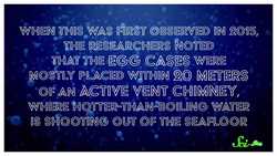 Active Volcanoes: The Perfect Egg Incubators Instructional Video