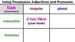 Possessive Adjectives and Pronouns in Italian Instructional Video