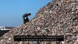 Wild dogs, disease threaten displaced Gaza families living in landfill News Clip