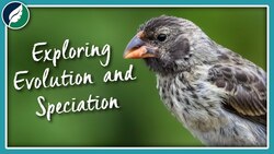 Exploring Evolution and Speciation | Compilation Instructional Video