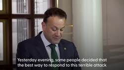 Leo Varadkar says rioters 'brought shame on Ireland' after night of violence in city centre News Clip