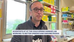 New initiative launched on Long Island to better understand endometriosis News Clip