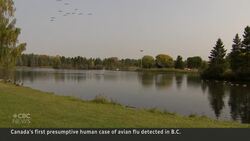 Teen has Canada’s 1st presumptive human avian flu case News Clip