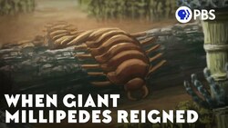 When Giant Millipedes Reigned Instructional Video